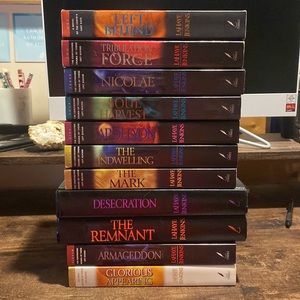 Left Behind Series by Tim LaHaye & Jerry B. Jenkins